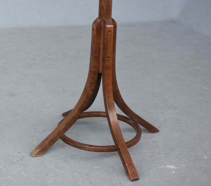 Baumann house parrot coat door