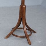 Baumann house parrot coat door