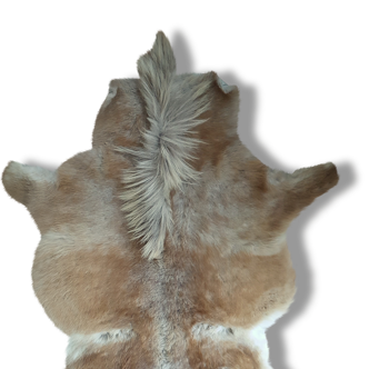 Véritable peau de poney de Sheitland