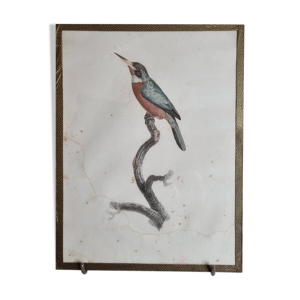 Gravure originale du