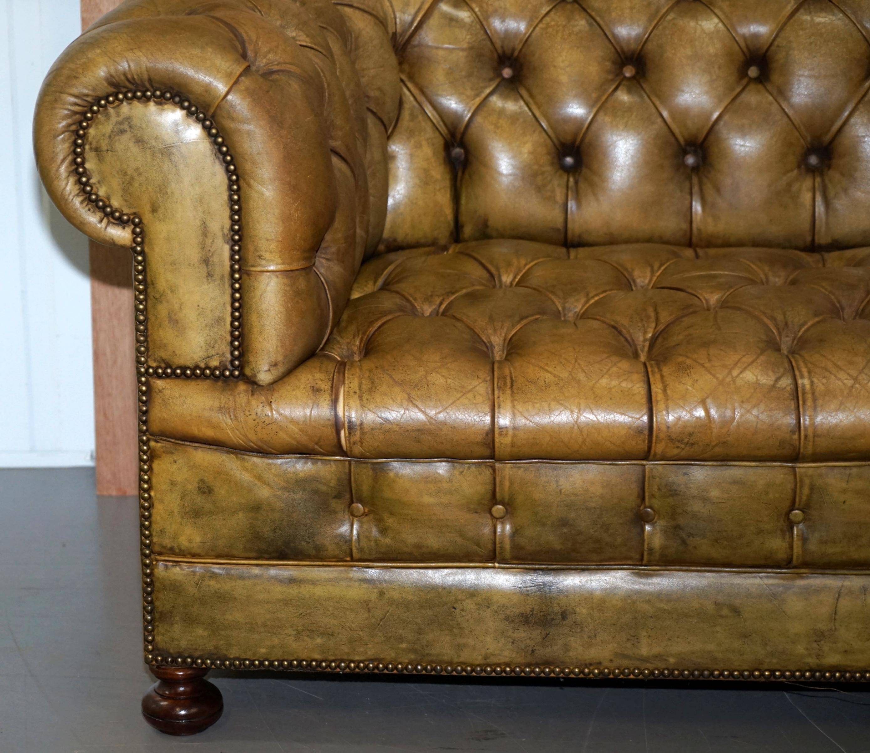 Canapé Chesterfield en cuir teint à la main, victorien rempli de crin de cheval