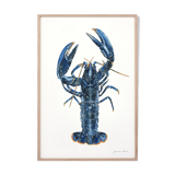 "Lucie", the lobster, art print 21/29.7 cm