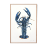 "Lucie", the lobster, art print 21/29.7 cm