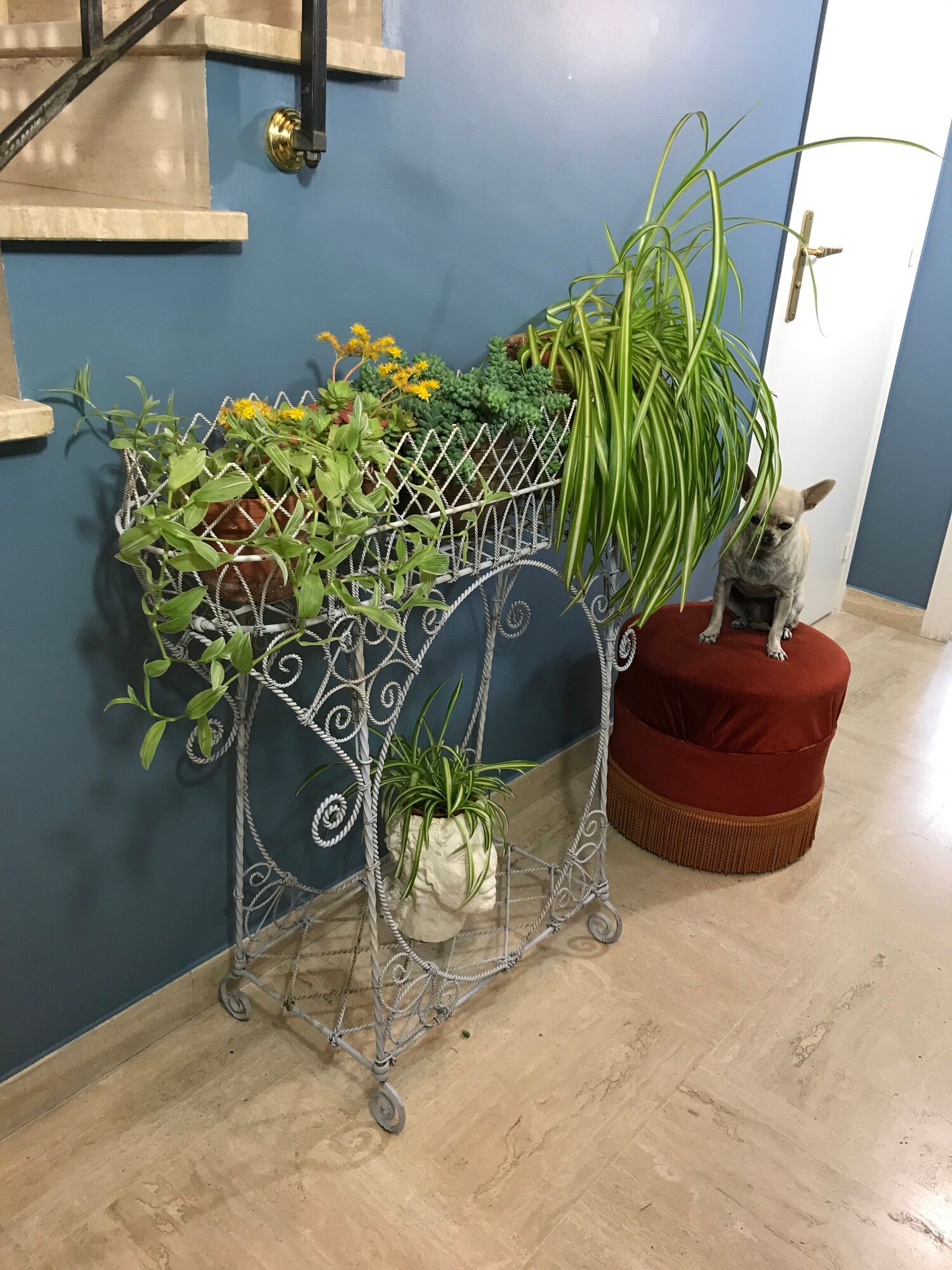 Planter holder plant on legs wrought iron late nineteenth