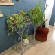 Planter holder plant on legs wrought iron late nineteenth