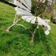 Banc de jardin avec pieds en fonte ancien