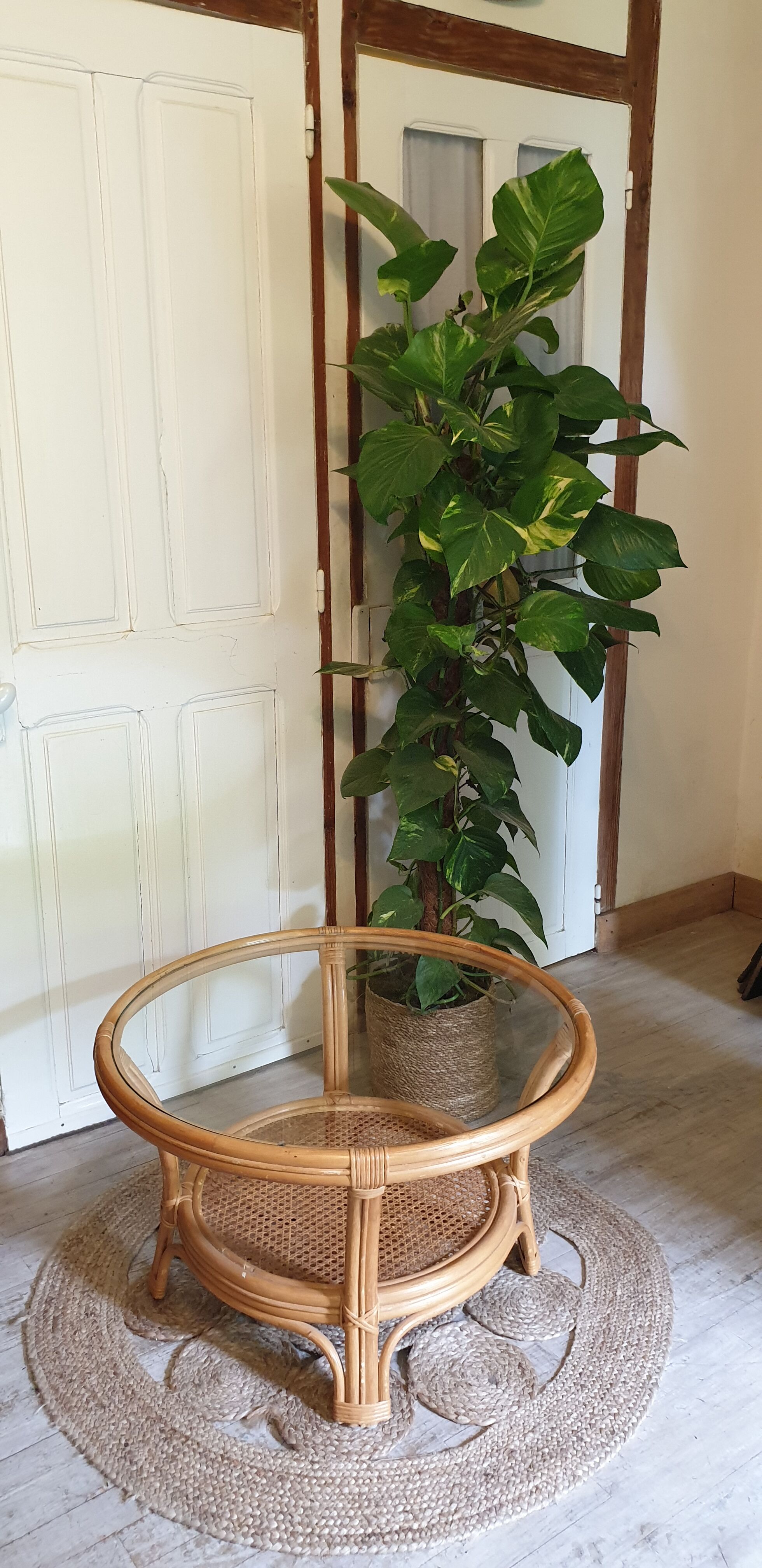 Glass and canning coffee table