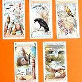 Set of 5 chromolithographs on Aiguebelle chocolate cardboard