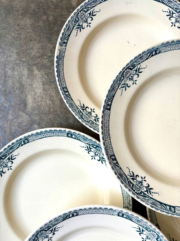 6 assiettes creuses Longchamp en terre de fer, service ''Lily