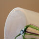 Vase Bertil Vallien pour Kosta Boda