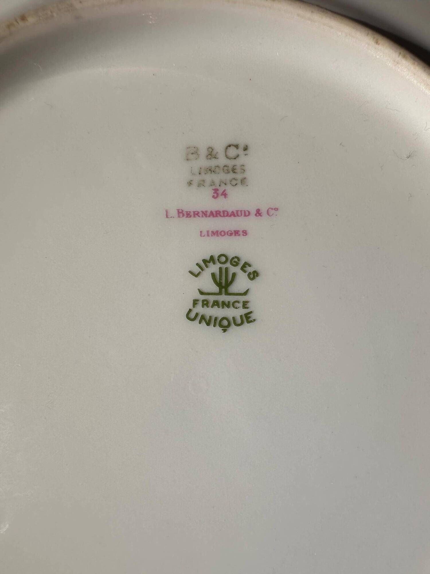 Set of 6 dessert plates in Limoges porcelain, Bernardaud & Co, dec