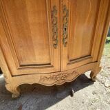Secretary in ancient beech