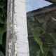 Old glass door 78.5x220.8cm
