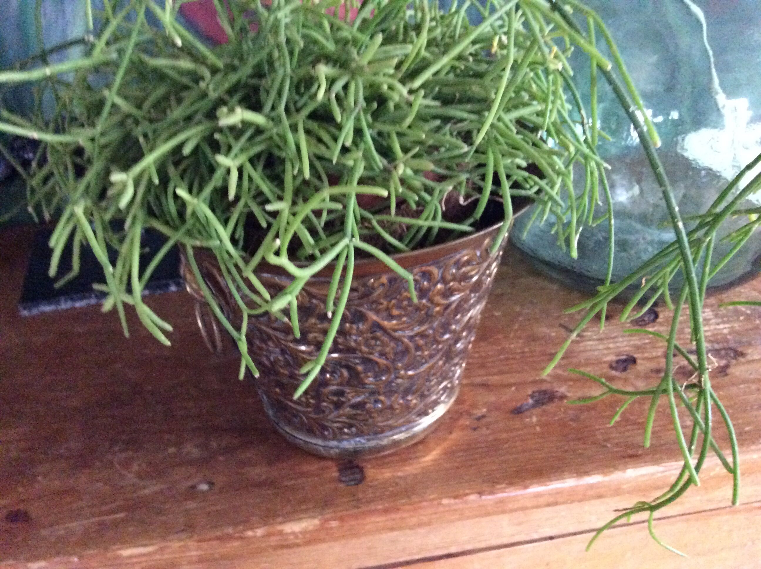 Copper pot cover