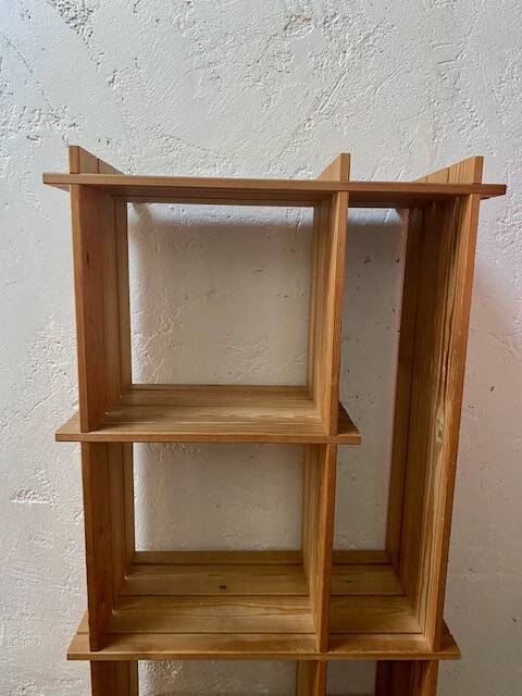 Regain homemade pine bookcase shelf
