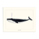 Vintage illustration of a blue whale Minimalist blue whale and nature