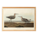 Poster of the Long-legged Sandpiper, after an old engraving