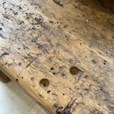 Established old oak XL