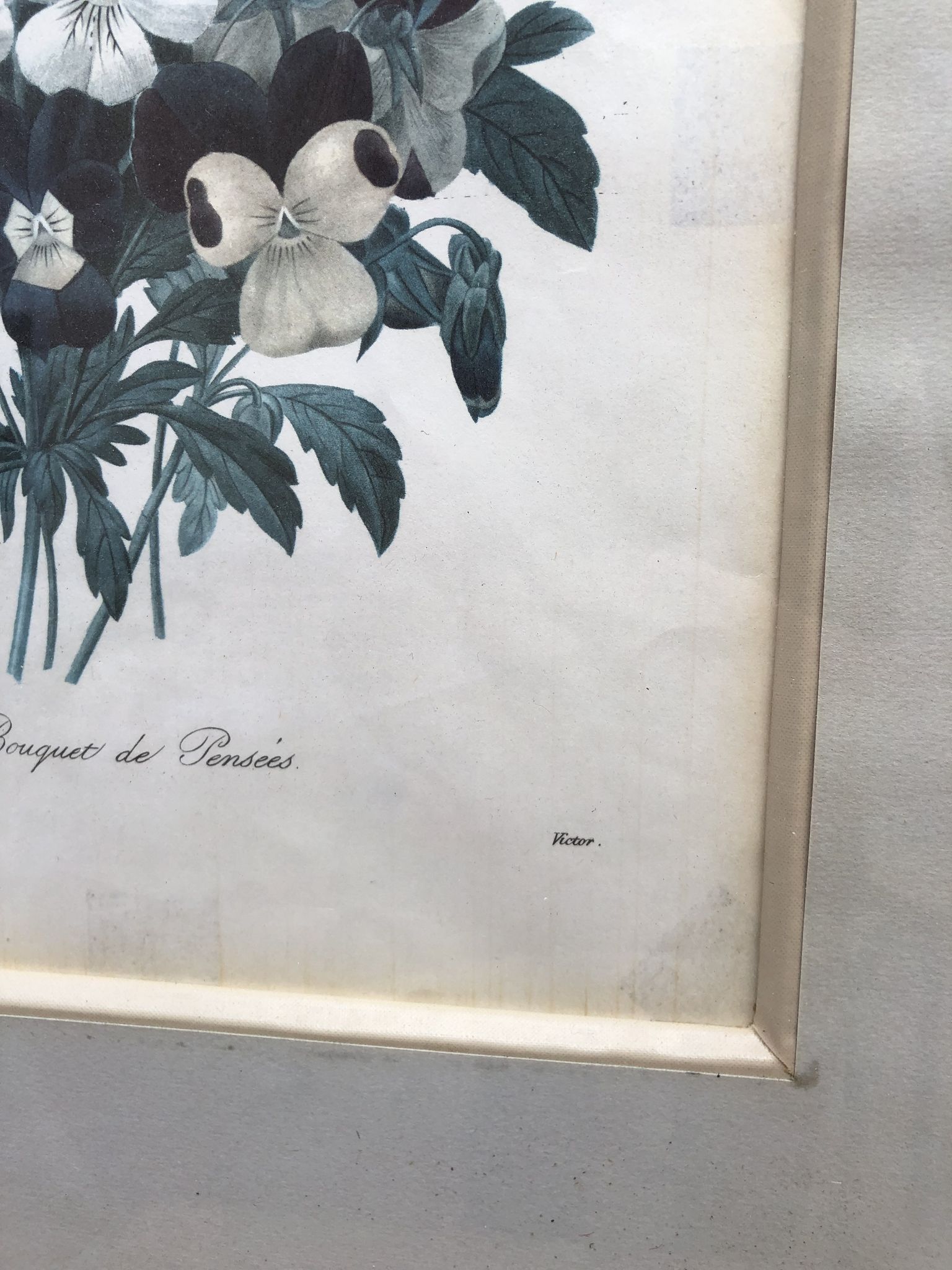 Former botanical board gilded frame PJ Redouté "Bouquet of Thoughts" Printing Victor 19th