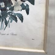 Former botanical board gilded frame PJ Redouté "Bouquet of Thoughts" Printing Victor 19th