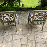 Bergere zebre