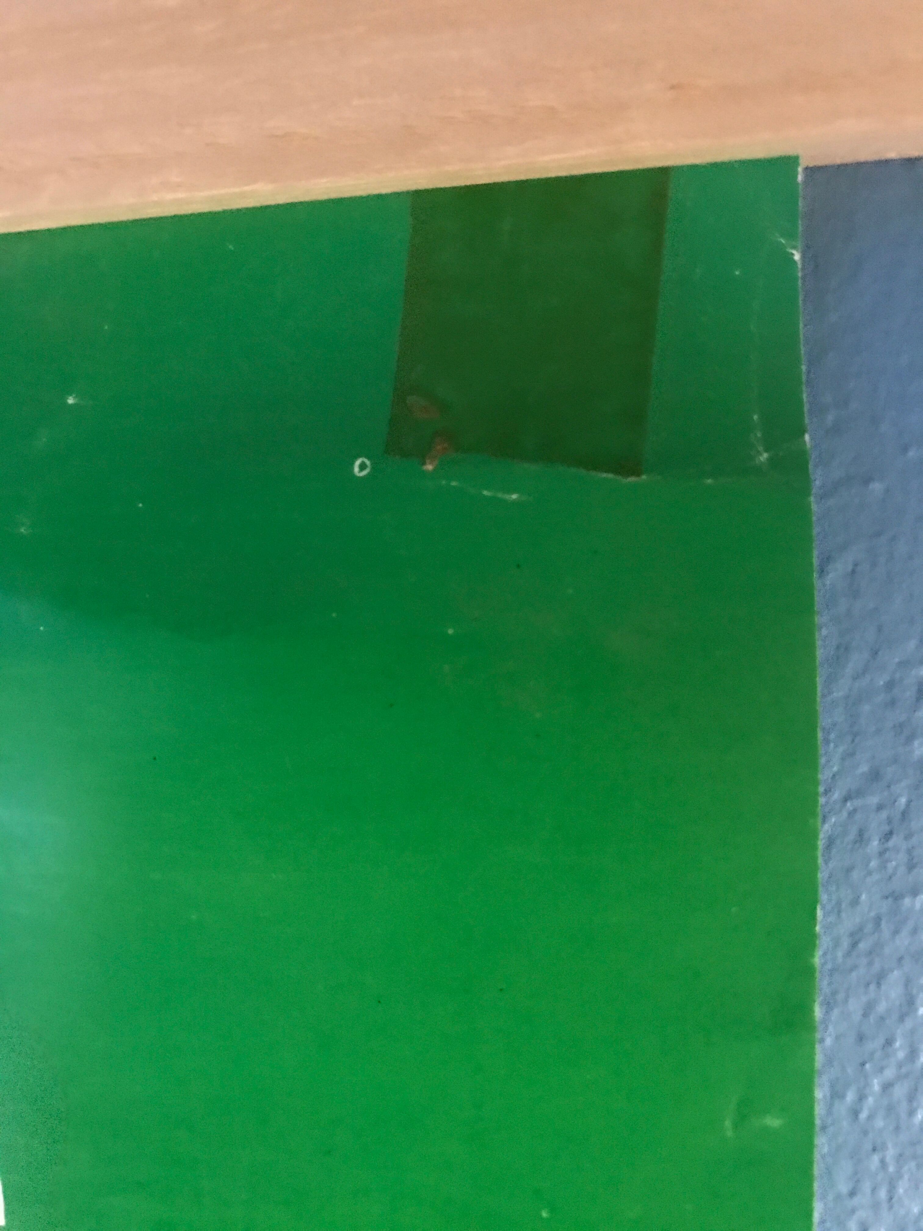 "Grow your teeth" poster