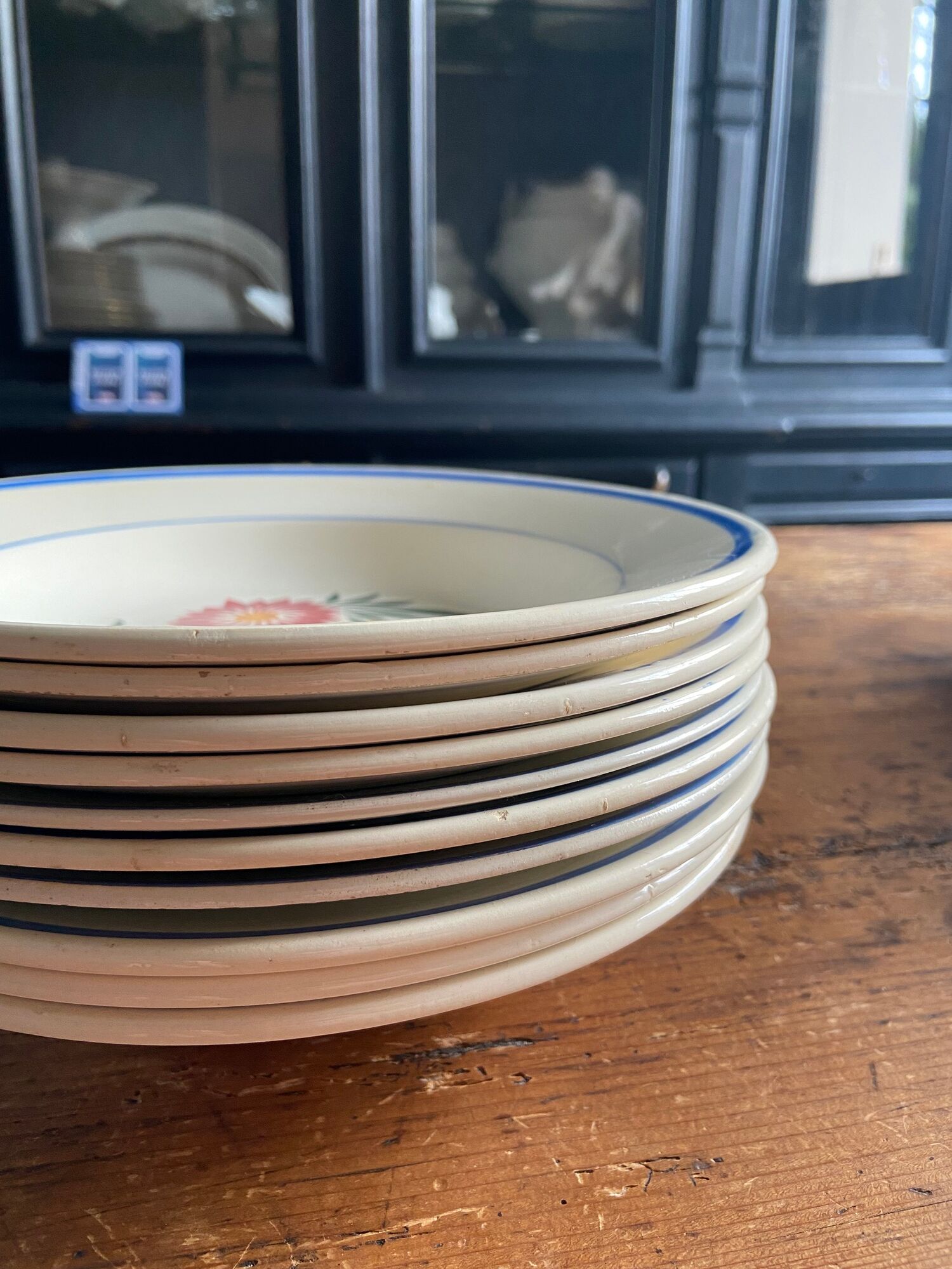 Iron earth plates Blue and pink floral pattern 10 pieces