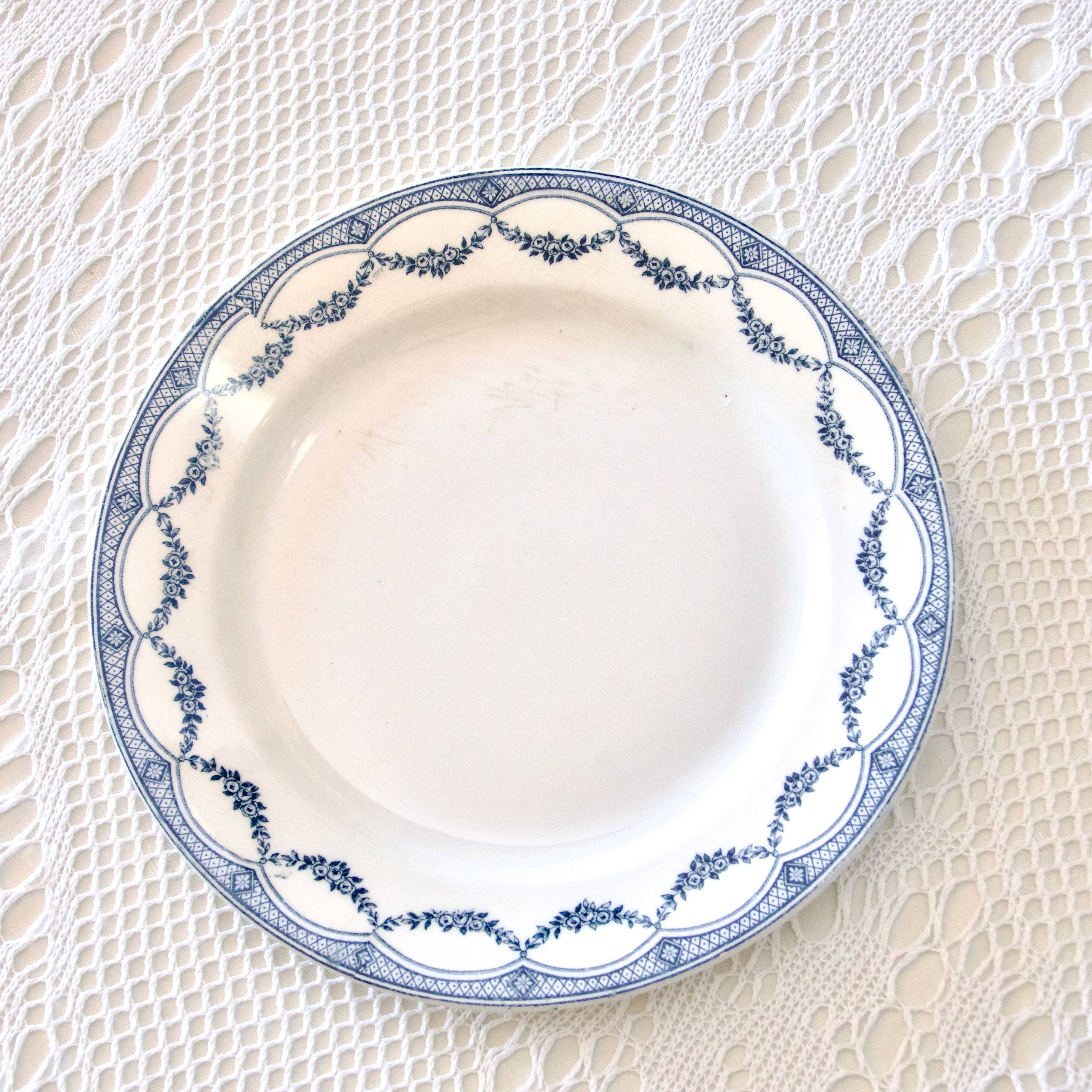 9 19th century ironstone dinner plates from Salins Petit Trianon