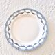 9 19th century ironstone dinner plates from Salins Petit Trianon