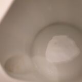 Bernadaud Black Tulip