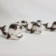 Set of 5 named "whales" in silver metal