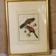 Cadre oiseaux