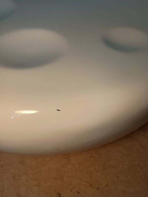 Table basse Space age