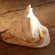 Shell Cassis Cornuta