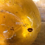 Old soliflore biot 1970
