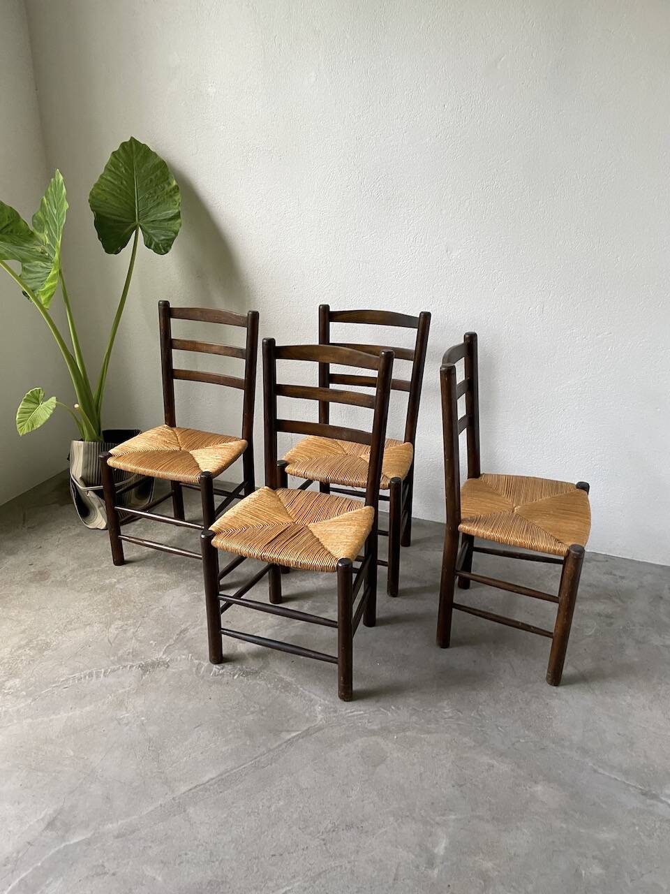 Set of 4 straw chairs from the 50s Dudouyt