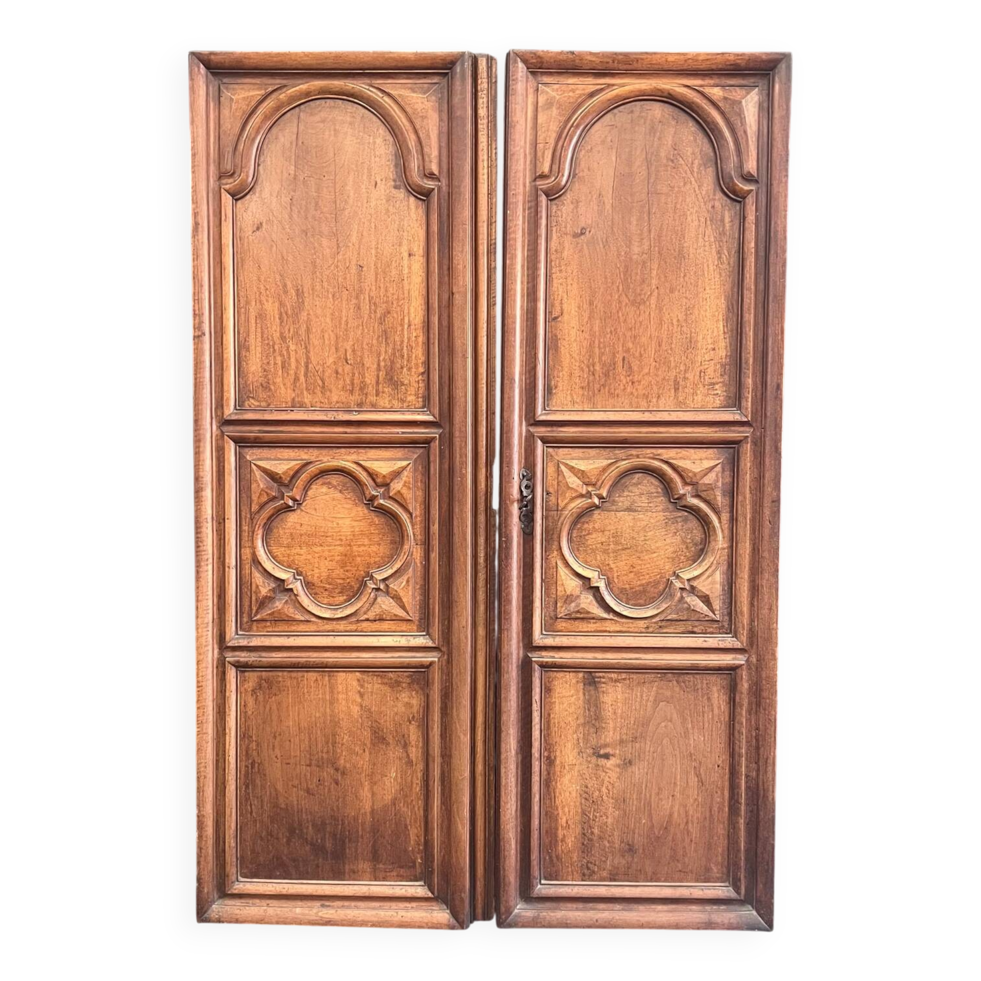 Old 19th century wooden doors