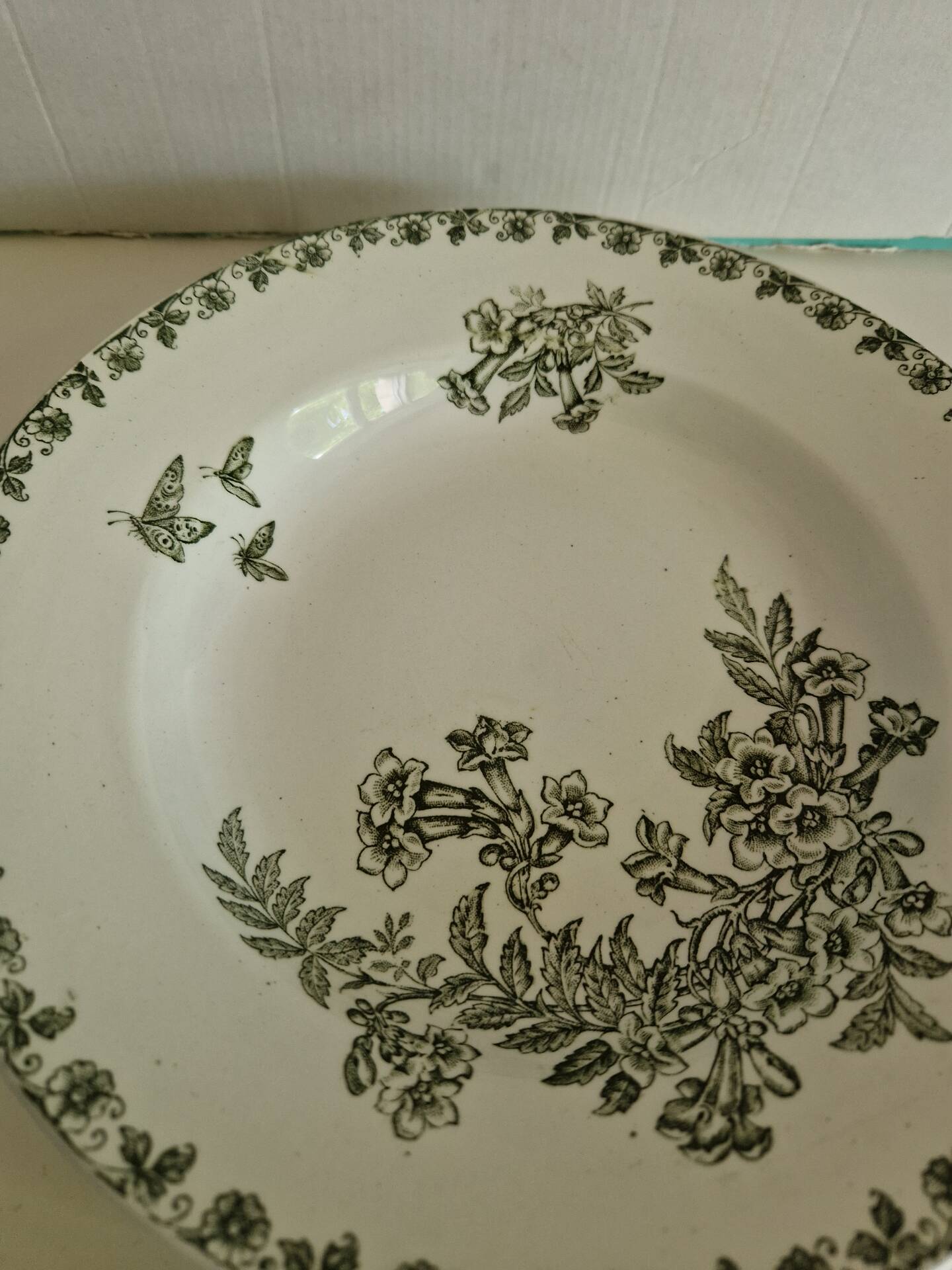 Set of 6 Deep Plates Saint Amand Terre De Fer Anemone Model Den