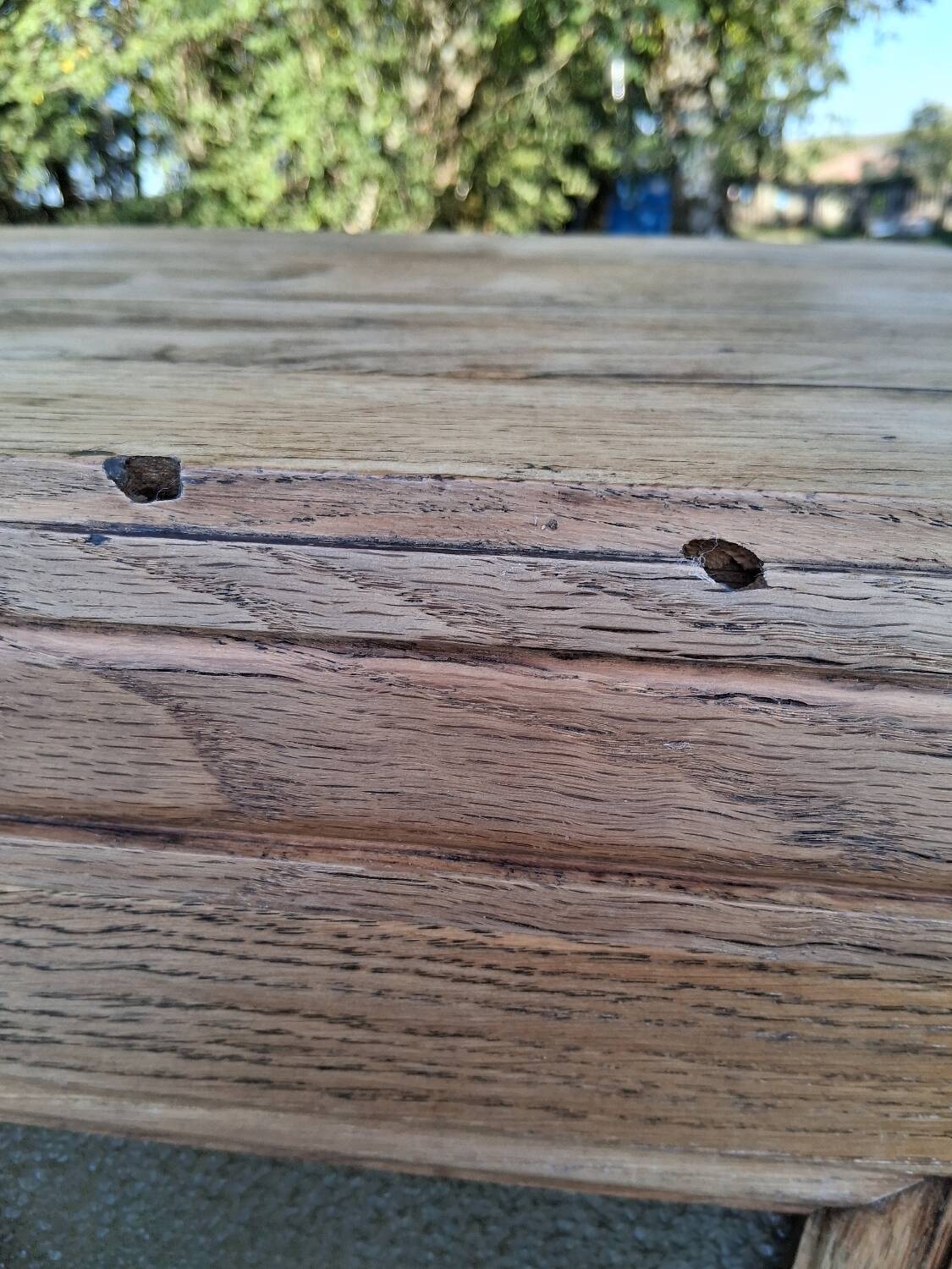 Glass-fronted hosiery cabinet