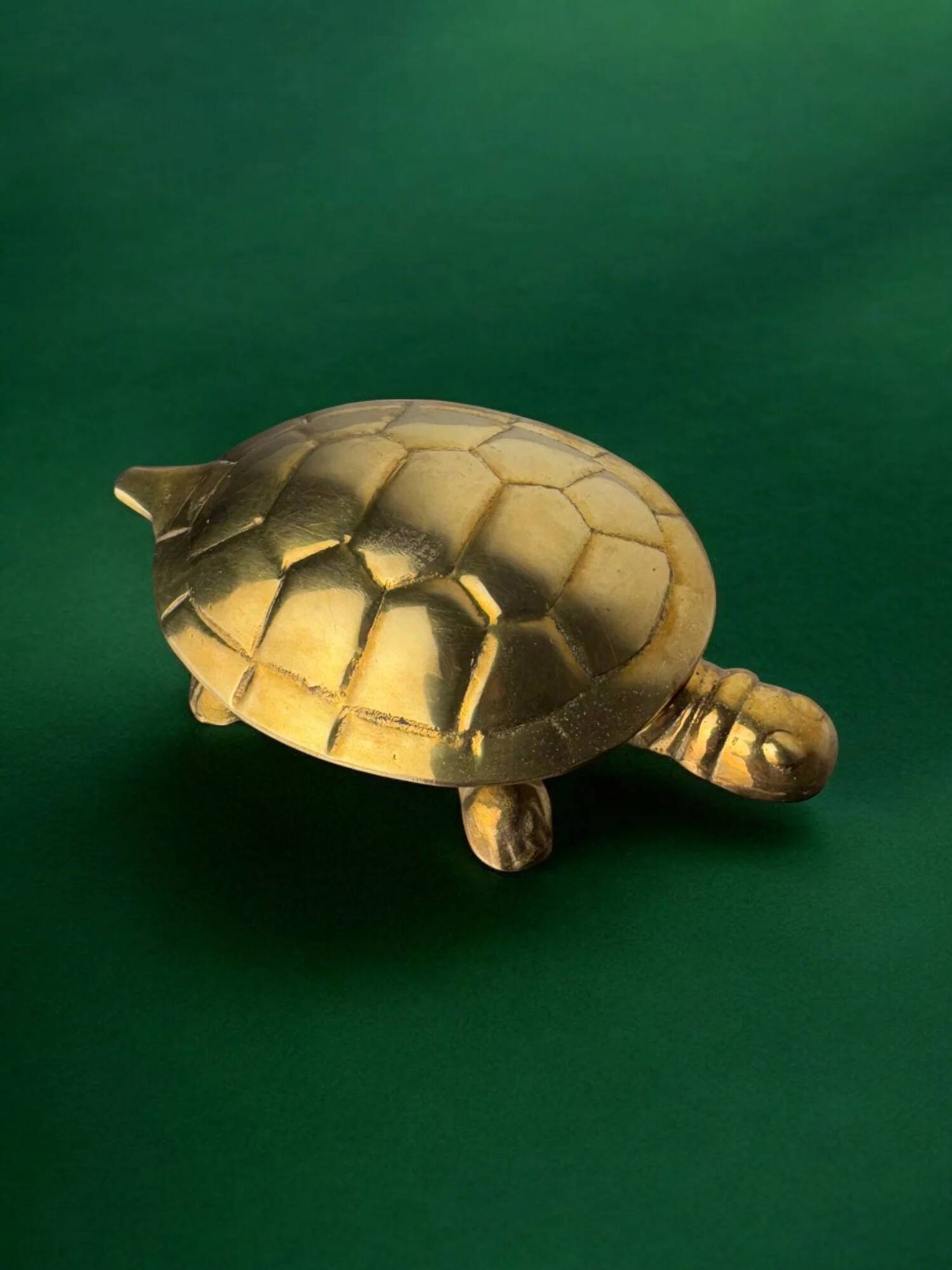 Vide poche en forme de tortue de style Régence en laiton, Italie, années 1970