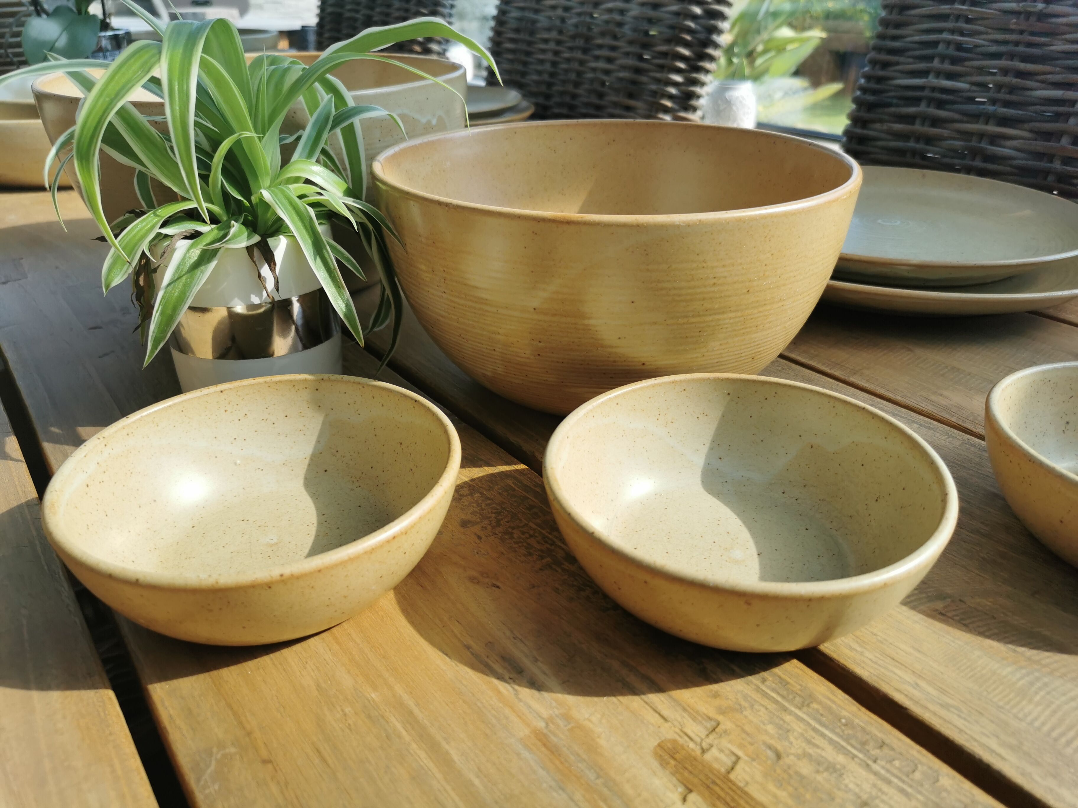 Full service in CNP Village sandstone