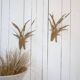 Vintage Brass Wall Lights, 1970s, Set of 2