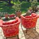 Paire de fauteuils de style Art déco