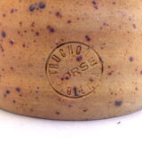 Corsican pitcher in pyrity sandstone