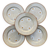 Tulowice - set of 5 plates