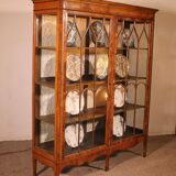 19th Century Mahogany and Burr Walnut Display Cabinet with Lighting