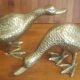 Duo de canards vintage en laiton