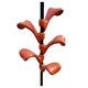 Portemanteaux italien par BRF design 1980