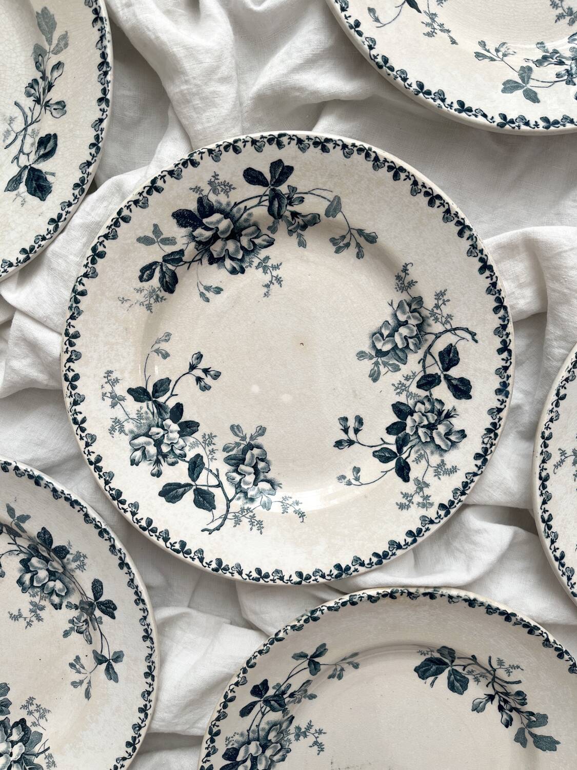 6 assiettes plates en terre de fer « Acacia » Moulin des Loups et Hamage