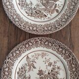 2 plates brown English Ironstone